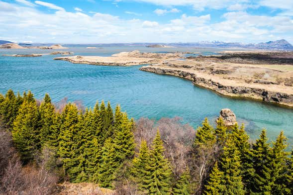 Escursione al Lago Mývatn