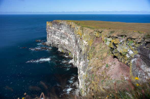 Tour di Látrabjarg e Raudasandur in fuoristrada